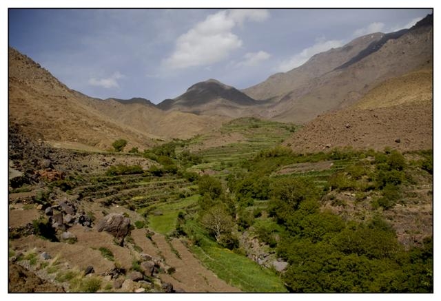 toubkal 148 (Small).jpg